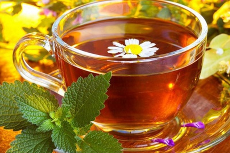 Подсолнуховый чай как средство очистки крови и кровеносных сосудов