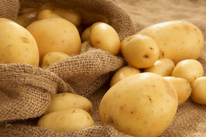 Как купить хороший картофель на посев