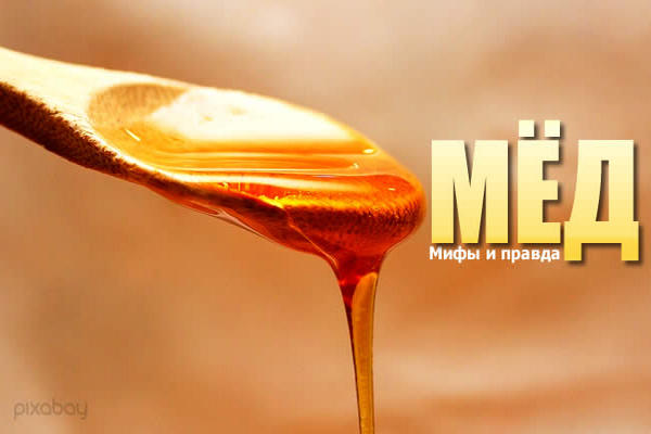 Мифы и правда о пользе меда