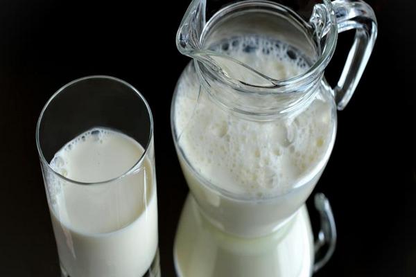 Чем можно заменить коровье молоко