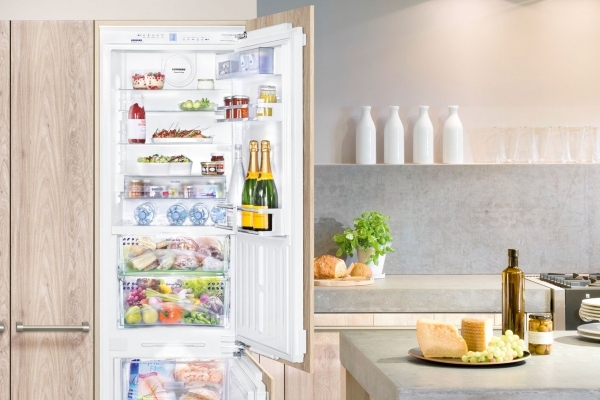 Какой холодильник лучше встроенный или отдельно стоящий?