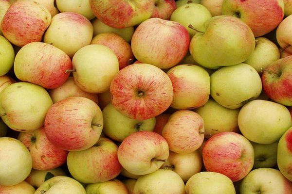 Секреты красоты и здоровья от яблочного уксуса